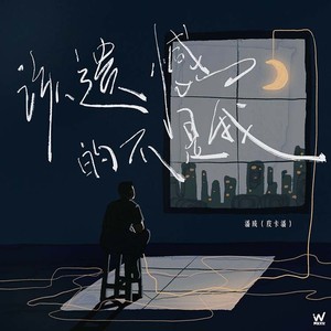 该遗憾的不是我歌词 - 潘成(皮卡潘)