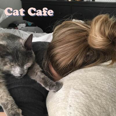 Cat Cafe歌词 - Shoffy