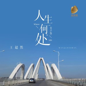 人生何处(男声版)歌词 - 王超然