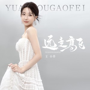 远走高飞歌词 - 王小草