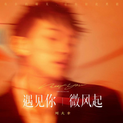 遇见你,微风起歌词 - 刘大拿