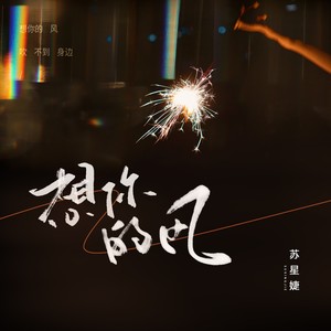 想你的风歌词 - 苏星婕