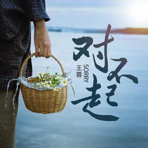 对不起歌词 - 王蓉