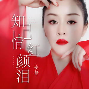 知己情红颜泪歌词 - 安静