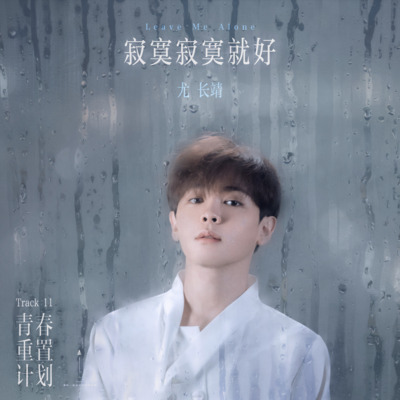 寂寞寂寞就好歌词 - 尤长靖