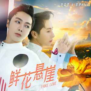 鲜花悬崖歌词 - 宋孟君 /洛伊Kloe