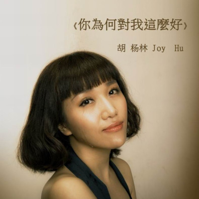 多情种(电视剧《来不及说我爱你》主题曲)歌词 - 胡杨林