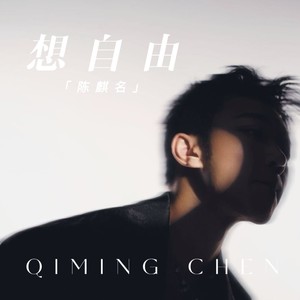 想自由歌词 - 陈麒名