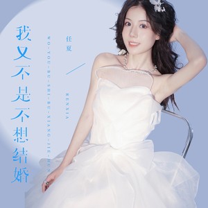 我又不是不想结婚歌词 - 任夏