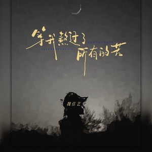 等我熬过了所有的苦歌词 - 魏佳艺