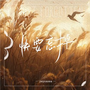 快要忘掉歌词 - Joysaaaa