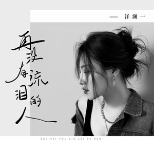 再没有流泪的人歌词 - 洋澜一