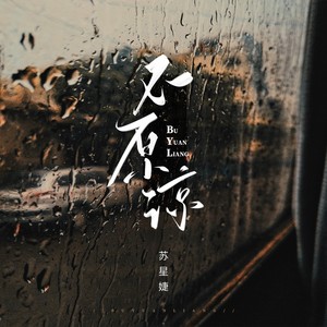 不原谅歌词 - 苏星婕
