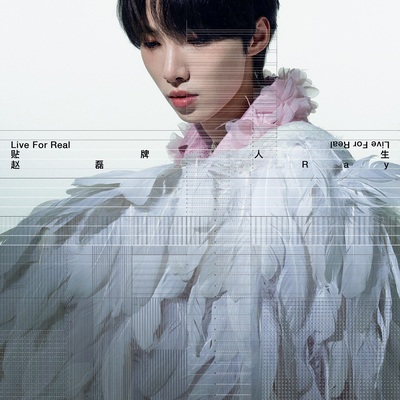 硬撑罢了歌词 - 赵磊