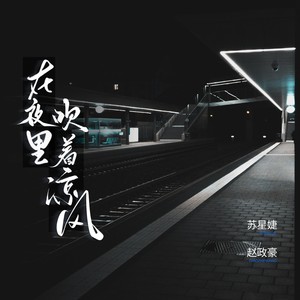 在夜里吹着凉风歌词 - 苏星婕 /赵政豪