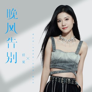 晚风告别歌词 - 任夏