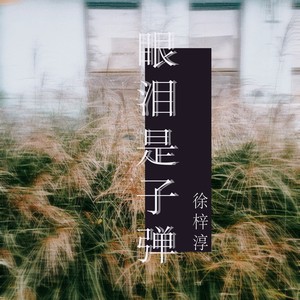 眼泪是子弹歌词 - 徐梓淳