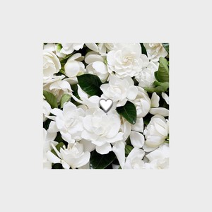 我陪你歌词 - 徐秉龙