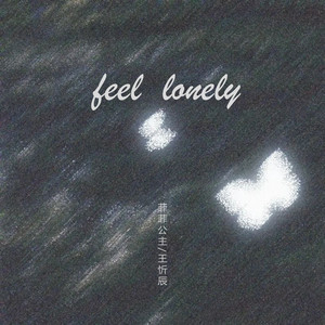 feel lonely歌词 - 菲菲公主 /王忻辰