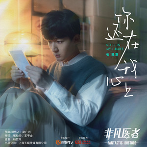 你还在我心上 (《非凡医者》电视剧插曲)歌词 - 张晚意