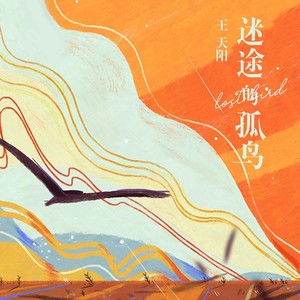 迷途的孤鸟歌词 - 王天阳