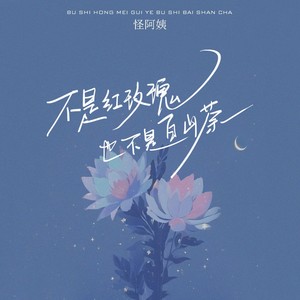 不是红玫瑰也不是白山茶歌词 - 怪阿姨