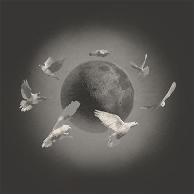 Moonset歌词 - DOV. / 白敬亭