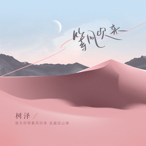 我为你等着风归来走遍这山海是什么歌?