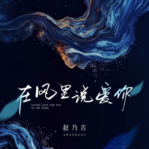 在风中说爱你歌词 - 赵乃吉