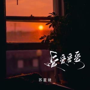 爱爱爱爱歌词 - 苏星婕