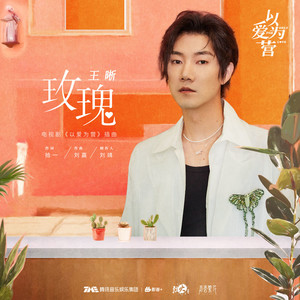 玫瑰 (《以爱为营》电视剧插曲)歌词 - 王晰