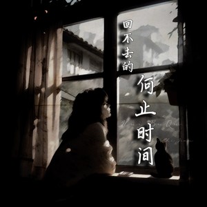回不去的何止时间歌词 - 吖毛