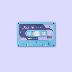 我搞不懂歌词 - 甘草片r