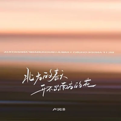 北方的春天开不出南方的花歌词 - 卢润泽