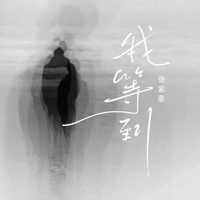 我等到歌词 - 张紫豪