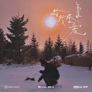 给我你的爱歌词 - 黄礼格