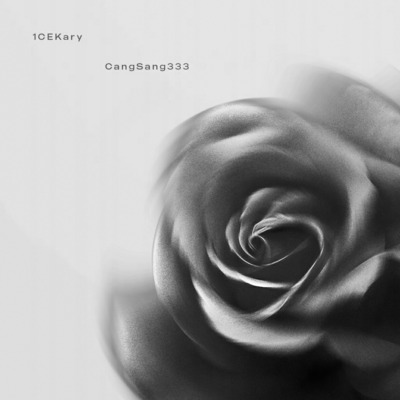 蔷薇歌词 - 1CEKary / 沧桑Cang333