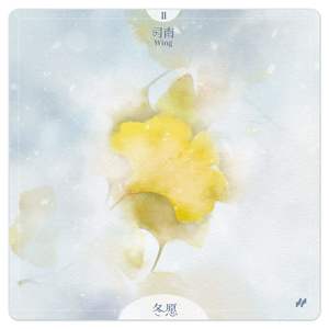 冬愿歌词 - 司南