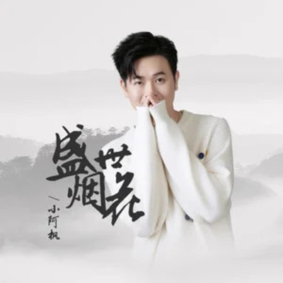 盛世烟花歌词 - 小阿枫