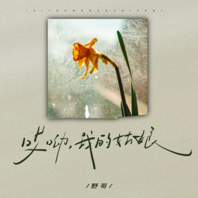 哎呦我的姑娘歌词 - 野哥