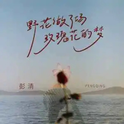野花做了场玫瑰花的梦歌词 - 彭清