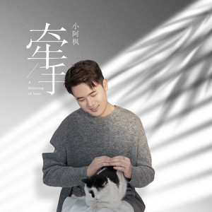 牵手歌词 - 小阿枫