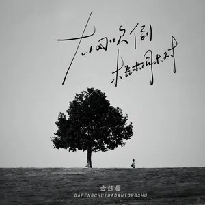 大风吹倒梧桐树歌词 - 金钰晨