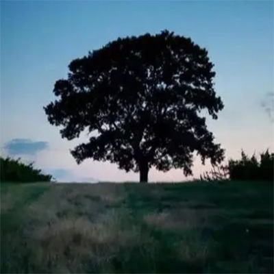 浴室(终于忘记你的时候你出现在我的梦里)歌词 - CashMoon