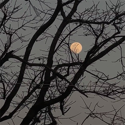 i watch the moon(热播版)歌词 - sunflow3rs