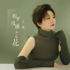 假如玫瑰不是花歌词 - 大潞