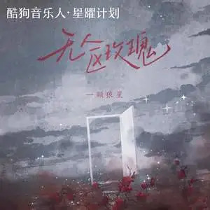 无人区玫瑰歌词 - 一颗狼星