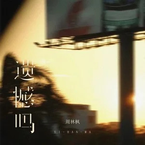 遗憾吗歌词 - 周林枫