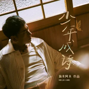 少年成诗(DJ 彭锐版)歌词 - 海来阿木