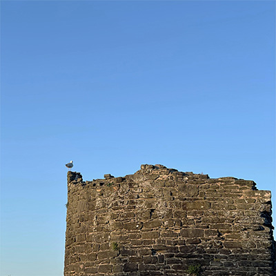 美人坡歌词 - 盘尼西林乐队